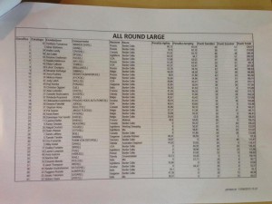 Results All Round Large 1