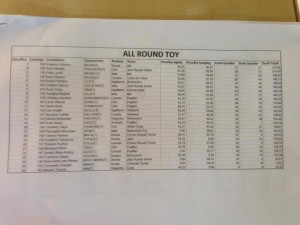 Results All Round Toy