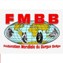 Results Fmbb Overal Ranking Agilitynews Euagilitynews Eu