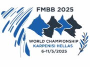 FMBB25 Startlist Jumping 2 Individual